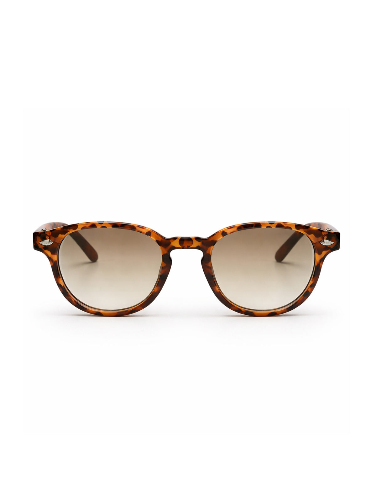 sunglasses / Brown Solan Turtoise Sunglasses