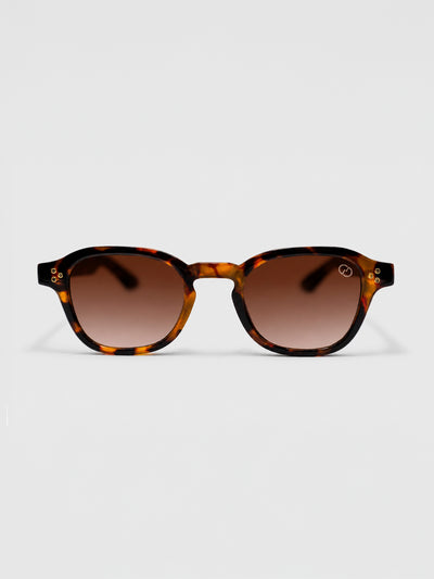 sunglasses / Brown Cirel Sunglasses