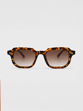 sunglasses / Brown Lior Sunglasses