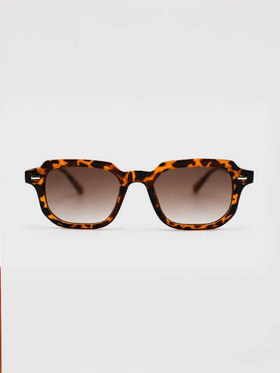 sunglasses / Brown Lior Sunglasses