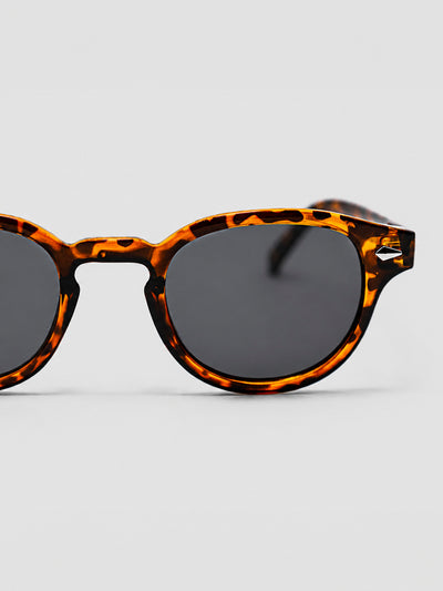 sunglasses / Brown Solan Sunglasses