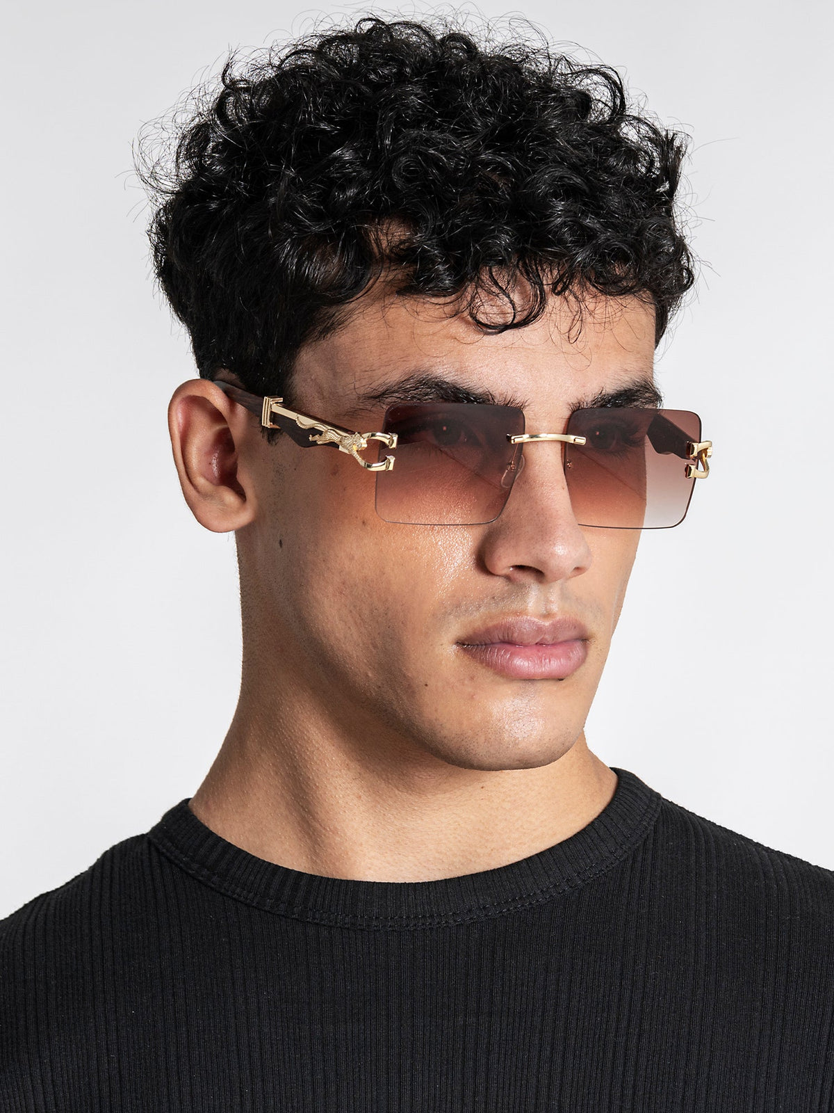 sunglasses / Gold Monarch Sunglasses
