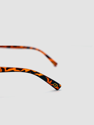 sunglasses / Brown Solan Sunglasses