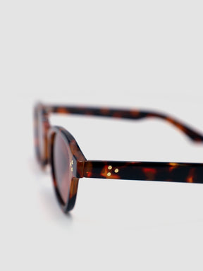 sunglasses / Brown Cirel Sunglasses