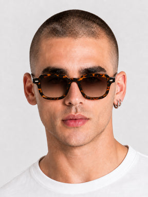 sunglasses / Brown Lior Sunglasses