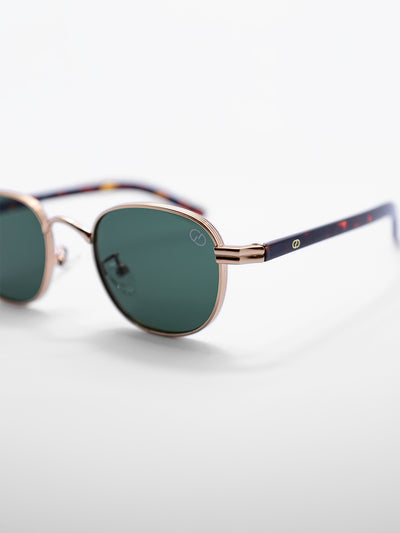 sunglasses / Brown Auryn Sunglasses