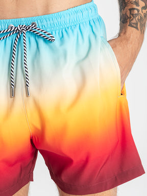 swimshorts / Multicolor Oasis Swimshorts
