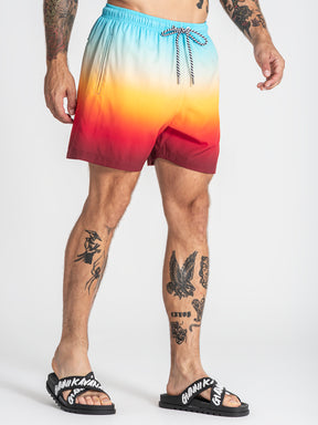 swimshorts / Multicolor Oasis Swimshorts